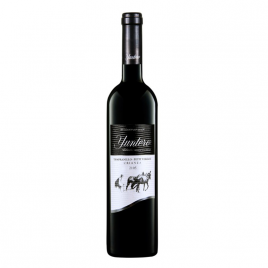 Vino